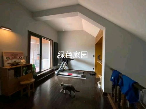 紹興市綠澤家園房產(chǎn)信息咨詢服務(wù)部 專業(yè)房地產(chǎn)咨詢服務(wù)的卓越選擇